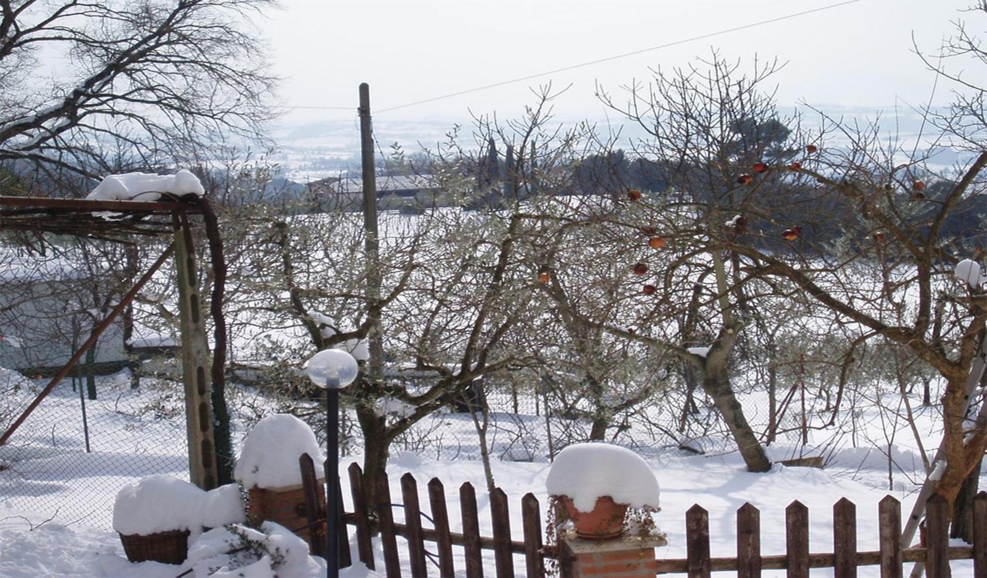 Belvedere Cramaccioli Vigne Екстер'єр фото