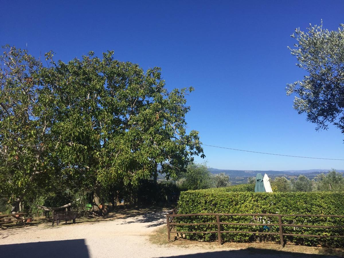 Belvedere Cramaccioli Vigne Екстер'єр фото